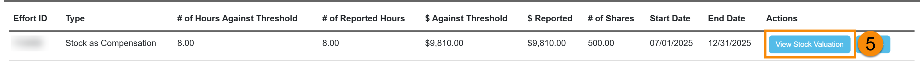 View stock valuation button